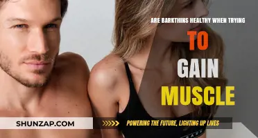Bark Thins for Muscle Gain: Healthy Snack or Hindrance?