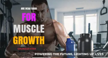 BCAA Benefits: Do They Really Boost Muscle Growth Effectively?