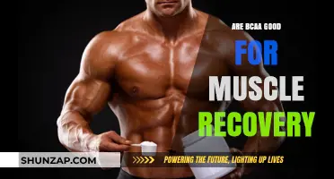BCAA Benefits: Enhancing Muscle Recovery After Intense Workouts