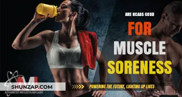 BCAA Benefits: Do They Really Ease Muscle Soreness After Workouts?