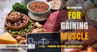 Boost Your Muscle Growth: Are Beans the Secret Protein Powerhouse?