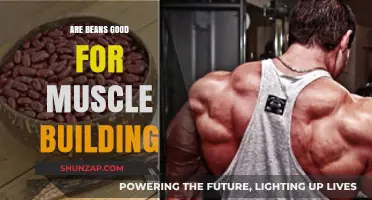Unleashing the Power of Beans: A Surprising Muscle-Building Ally