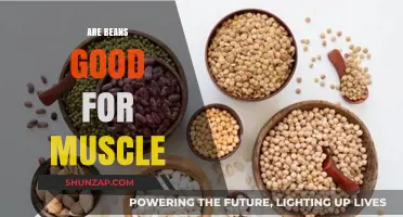 Boost Your Muscle Growth: Are Beans the Secret Protein Powerhouse?