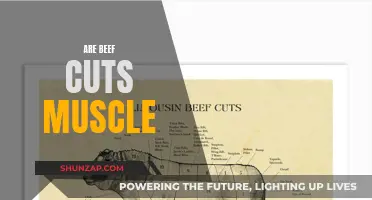 Beef Cuts: Muscles or More?