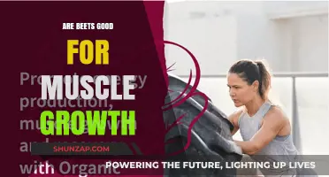 Beets and Muscle Growth: Unlocking Natural Benefits for Stronger Muscles