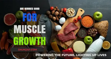 Boost Muscle Growth: The Surprising Benefits of Berries Revealed
