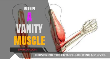 Biceps: Are They Worth the Vanity Label?