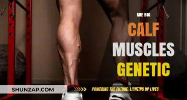 Unveiling the Genetic Secrets Behind Impressive Calf Muscles
