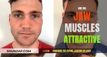 Jaw Muscles: The Ultimate Attractiveness Factor?