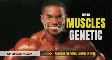 Muscle Genetics: Nature's Role in Bodybuilding