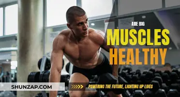Muscle Health: Is Bigger Always Better?