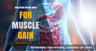Black Beans for Muscle Gain: A Plant-Based Protein Powerhouse