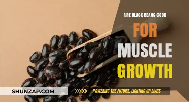 Black Beans for Muscle Growth: A Plant-Based Protein Powerhouse