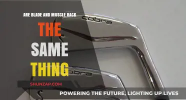 Exploring the Confusion: Are Blade and Muscle Back the Same?