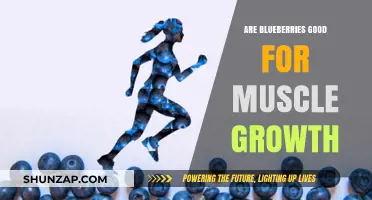 Blueberries and Muscle Growth: Unlocking the Berry's Potential for Fitness