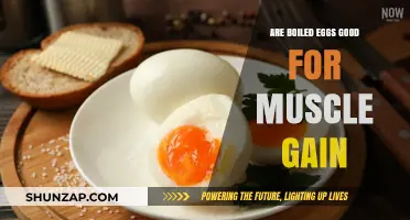 Boiled Eggs for Muscle Gain: Nutrition Benefits and Tips