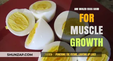 Boiled Eggs for Muscle Growth: Nutrition Benefits and Tips