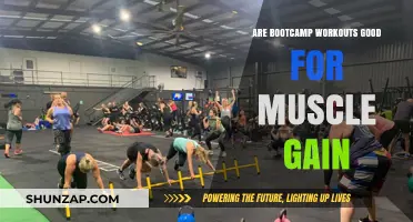 Bootcamp Workouts for Muscle Gain: Effective or Overhyped?