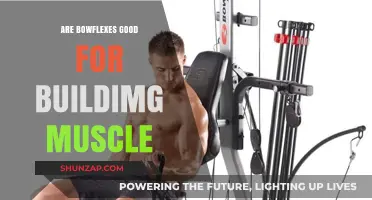 Are Bowflexes Effective for Muscle Building? A Comprehensive Review