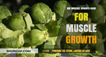 Boost Muscle Growth: Are Brussel Sprouts the Secret Superfood?