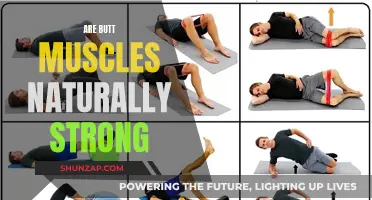 Why Are Glutes Strong?