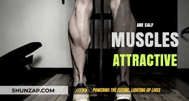 The Allure of Calf Muscles: Aesthetic Appeal and Fitness Insights