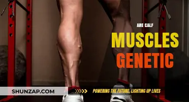 Unraveling the Genetic Blueprint of Calf Muscles: Nature vs. Nurture