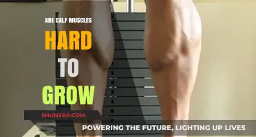 Unlocking Calf Growth: Strategies for Building Stubborn Lower Legs
