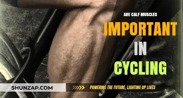 Unleashing Power: The Crucial Role of Calf Muscles in Cycling Performance