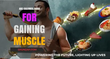 Calories and Muscle Gain: Fueling Your Body for Optimal Growth