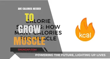 Calories and Muscle Growth: Fueling Your Body for Strength Gains