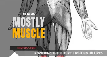 What Calves Are Made Of: Muscle or More?