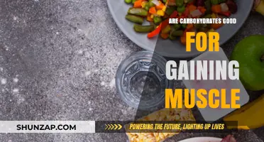 Carbohydrates and Muscle Gain: Fueling Your Body for Optimal Growth