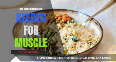 Carbohydrates: Fueling Muscles for Optimal Performance