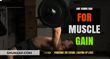 Carbs and Muscle Gain: Separating Fact from Fiction for Optimal Results