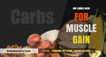 Carbs and Muscle Gain: Fueling Your Body for Optimal Growth
