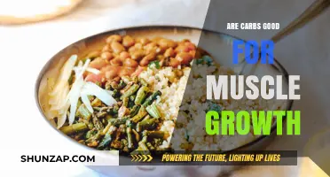Carbs and Muscle Growth: Fueling Your Gains Effectively