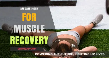 Carbs and Muscle Recovery: Fueling Your Body Post-Workout