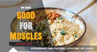 Carbs and Muscle Growth: Fueling Strength or Hindering Gains?