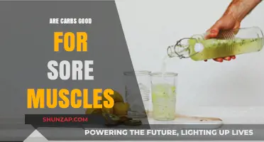 Carbs and Muscle Recovery: Fueling Sore Muscles for Faster Healing