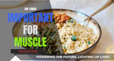 Carbs: Fueling Muscles and Performance