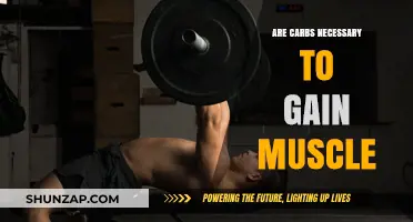 Carbs and Muscle Gain: Essential Fuel or Optional Boost?