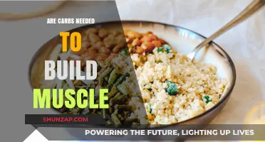 Fueling Muscle Growth: The Essential Role of Carbohydrates