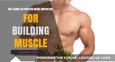 Carbs vs. Protein: Unraveling the Muscle-Building Debate