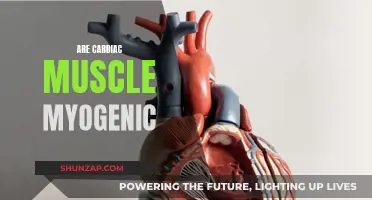 Cardiac Muscle Cells: Their Myogenic Nature Explained