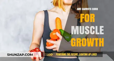 Carrots and Muscle Growth: Unlocking the Nutritional Benefits for Strength