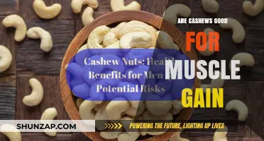 Cashews for Muscle Gain: Nutritional Benefits and Fitness Impact