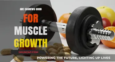 Cashews and Muscle Growth: Unlocking Nutritional Benefits for Strength
