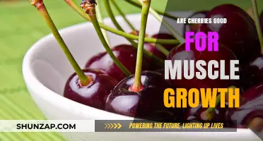 Cherries and Muscle Growth: Unlocking Nature's Recovery Benefits