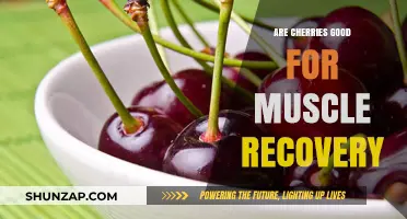 Cherries and Muscle Recovery: Unlocking Nature's Post-Workout Benefits